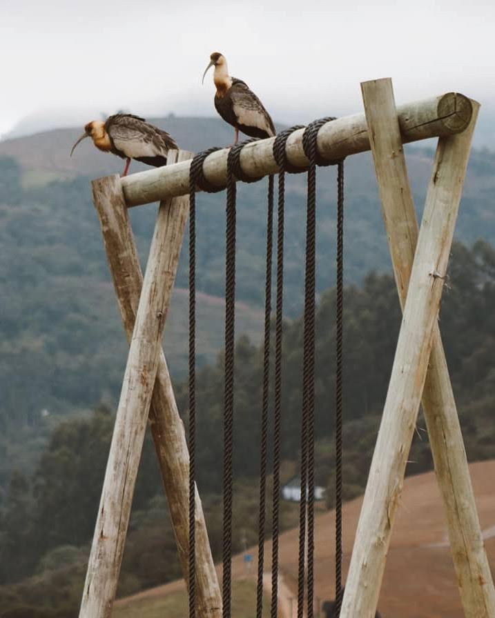 Chales O Refugio Barracão Exterior foto